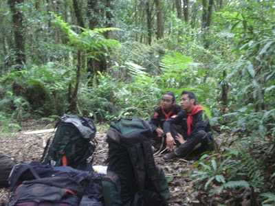 DSC02642.JPG