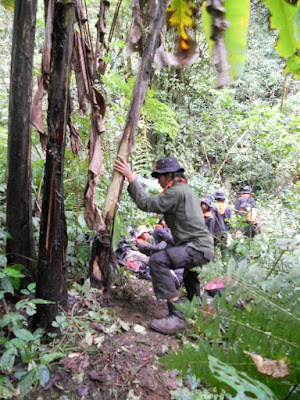 DSCN1658.JPG