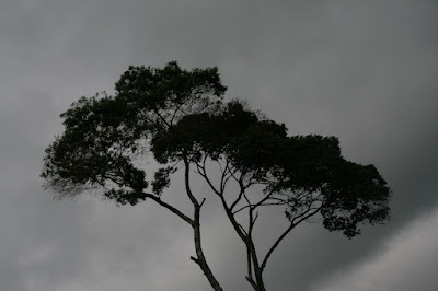 IMG_2820.jpg