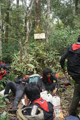 LDK00663.JPG