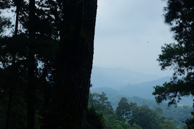 DSCF6611.JPG