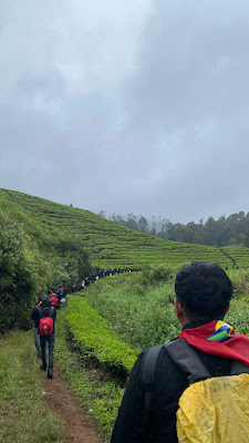 IMG_0126.HEIC