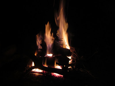 IMG_0011.JPG