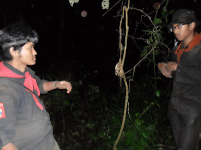 SAM_0163.JPG
