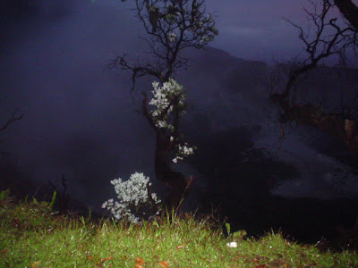 DSC02084.JPG