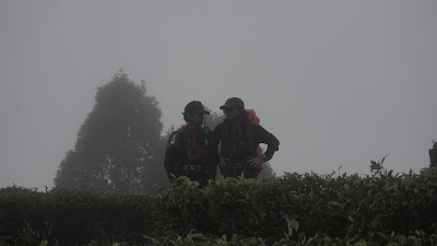 DSC08918.JPG