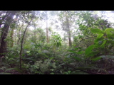 GOPR9887.THM