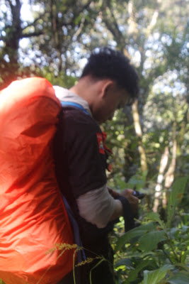_MG_2648.JPG