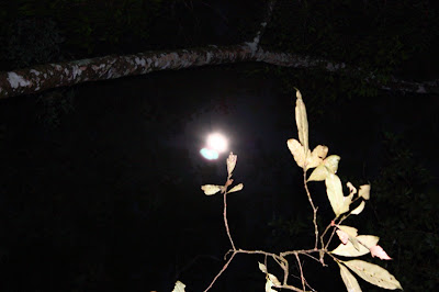 IMG_1627.JPG