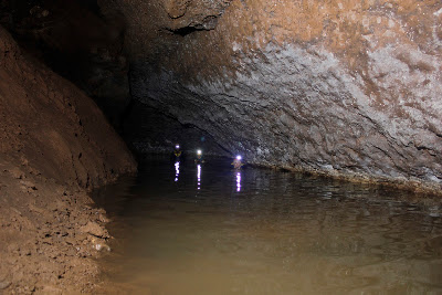 _MG_9444.JPG