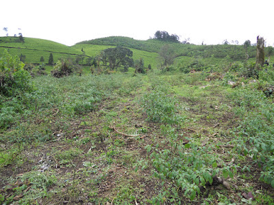 DSCN1404.JPG