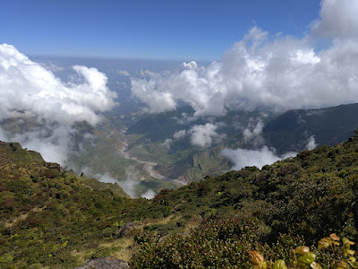 RA_20250723_110016_lmc_8.4.jpg