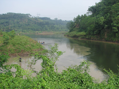 IMG_4390.JPG