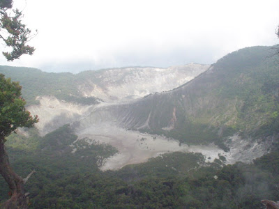 DSC01546.JPG