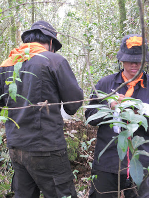 DSCN1617.JPG