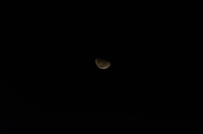DSC_5876.JPG