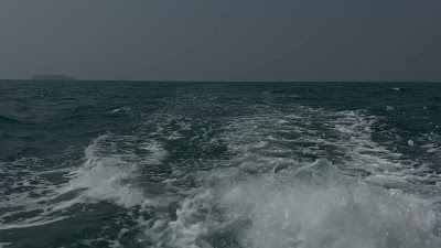 IMG_7075.MOV