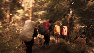 DSCF2239.JPG