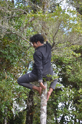 DSC_6070.JPG