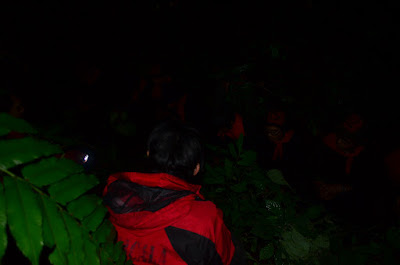 DSC_0185.JPG