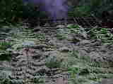 MOV00061.THM