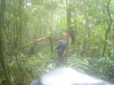 DSC02862.JPG