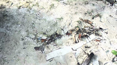VID_20250510_143413_HDR10PLUS.mp4