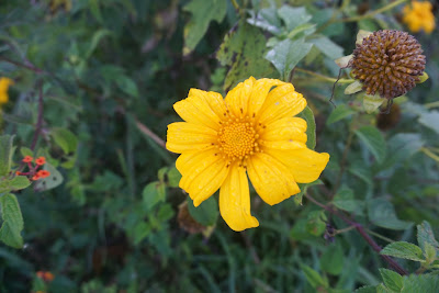 DSC02040.JPG