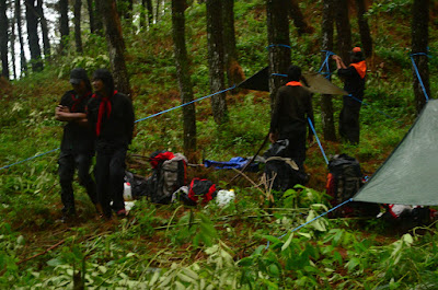 DSC_0455.JPG