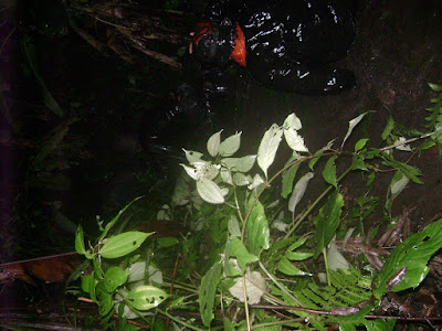 DSC09902.JPG