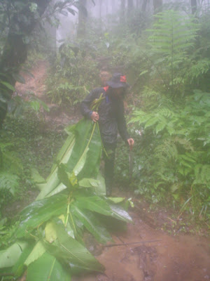 DSC07725.JPG