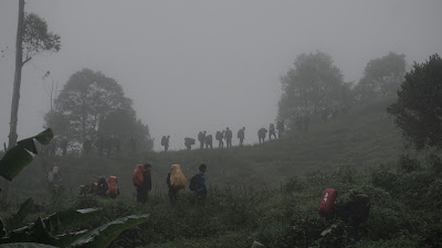 DSC08890.JPG