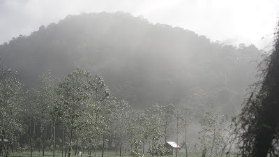 DSC09324.JPG