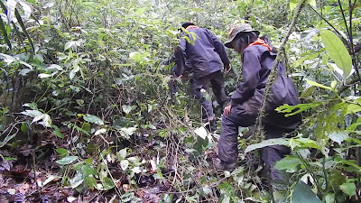 DSCN4034.MOV