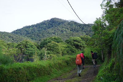 DSC07801.JPG