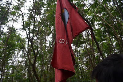 DSC_0151.JPG