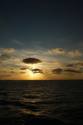 DSC03595.JPG