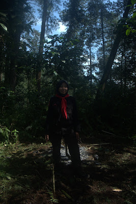 DSCF6584.RAF
