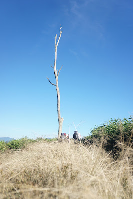 DSC02053.JPG