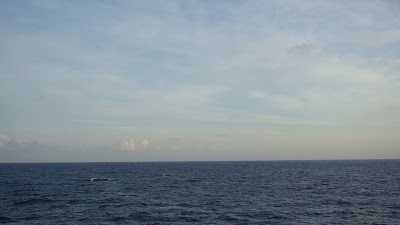 DSC02830.JPG