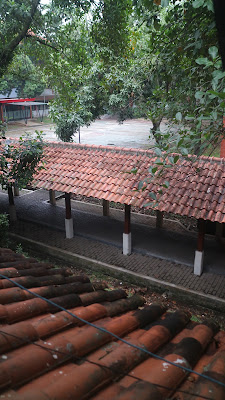 IMG_1787.JPG