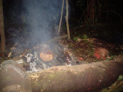 DSC02053.JPG