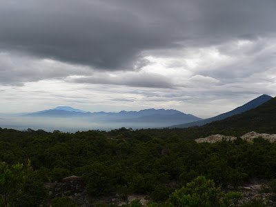 P1100846.JPG