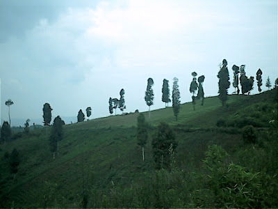 Survey PenDas KF Gunung Hutan - 051.jpg