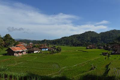 DSC_0093 - Copy.JPG