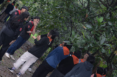 GH & SurvivalL-49.jpg