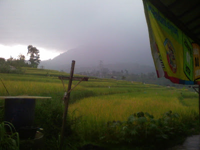 DSC00428.JPG