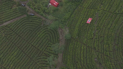 DJI_20250119122009_0385_D.MP4