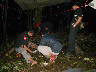 DSCN1421.JPG