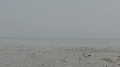 20260814_074518.mp4